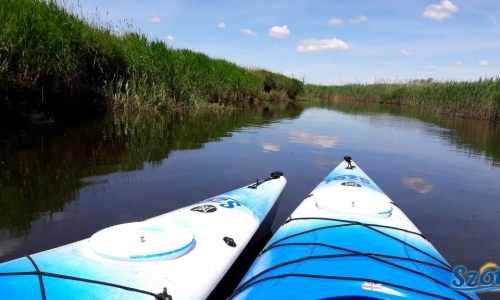 Biebrza River – boundless swampland – one-day kayaking trip