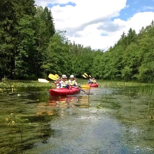 Czarna Hańcza River – easy – one-day kayaking trip