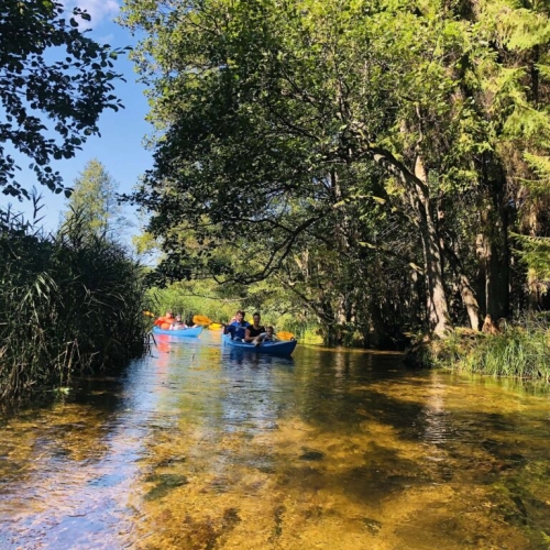 Active May weekend – 1-day kayaking trips