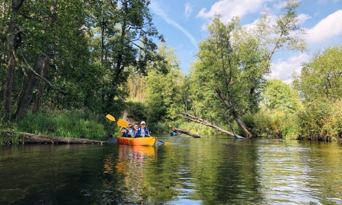 Czarna Hańcza River and Augustów Canal – meanders – one-day kayaking trip