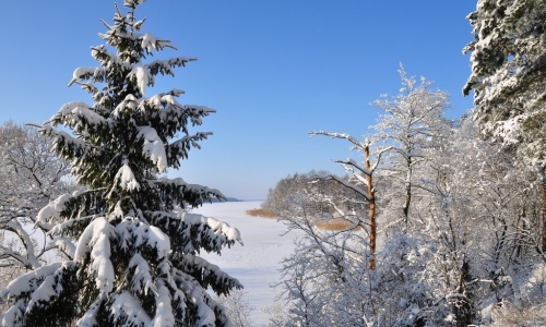 Zimowy wypoczynek w Augustowie